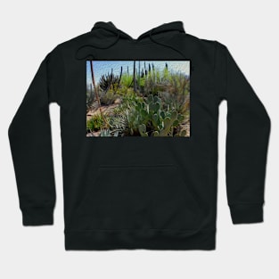 Desert Botanical Hoodie